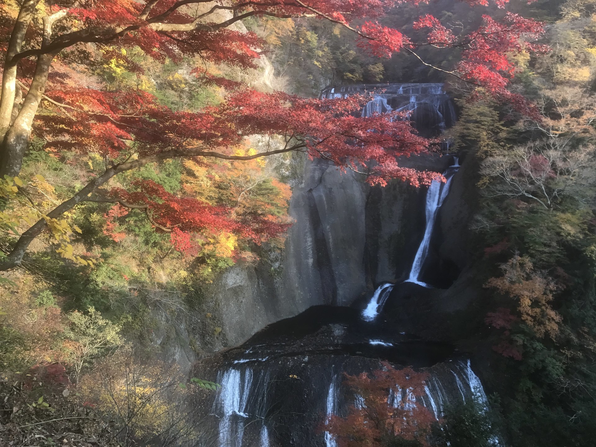 袋田の滝 紅葉今が見頃 お得情報ブログ
